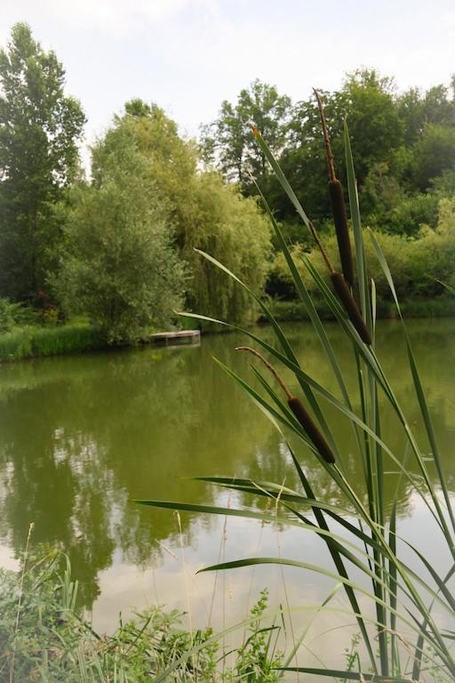Appartamento Les Temps Des Sources Veyrines-de-Domme Esterno foto